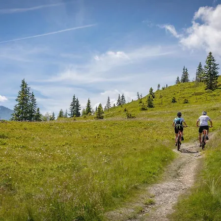 In Near Hochzillertal Area * Fügen